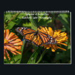 Calendar of Butterflies and Caterpillars<br><div class="desc">Calendar of Butterflies and Caterpillars  by Hallowell Lake Photography. Butterfly photos of butterflies in and around Maryland. Beautiful,  colourful butterflies give your office and/or kitchen a pop of colour!  Great for office,  home,  gifts or for yourself!!</div>