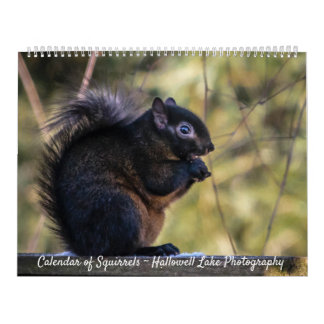 Calendar of Squirrels of Hallowell Lake