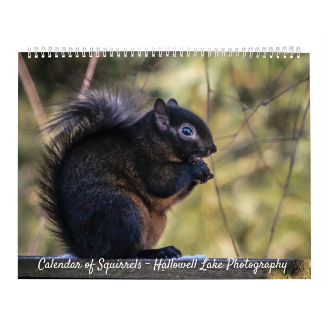 Calendar of Squirrels of Hallowell Lake (Cover)