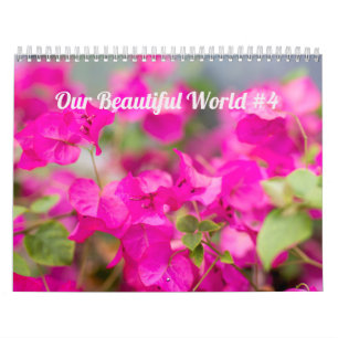 Calendar ~ Our Beautiful World #4