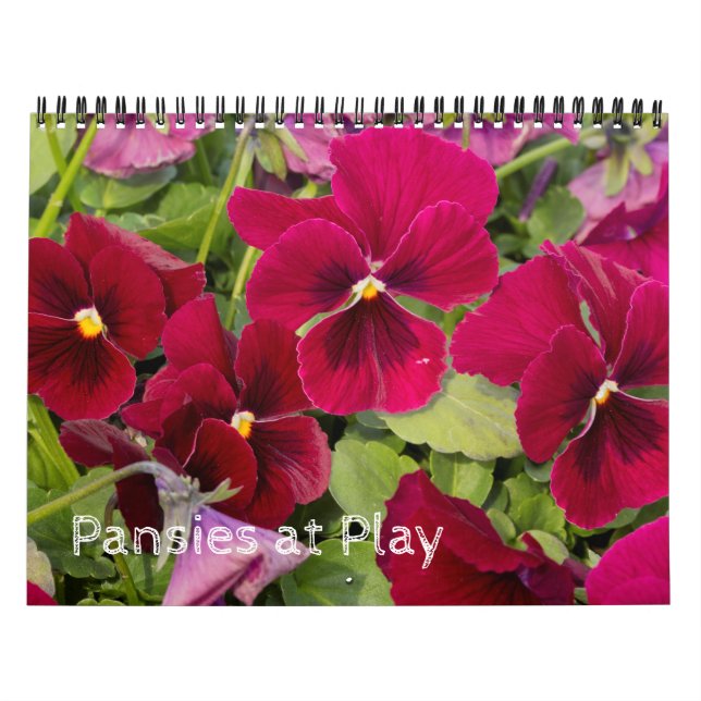 Calendar ~ Pansies at Play (Cover)