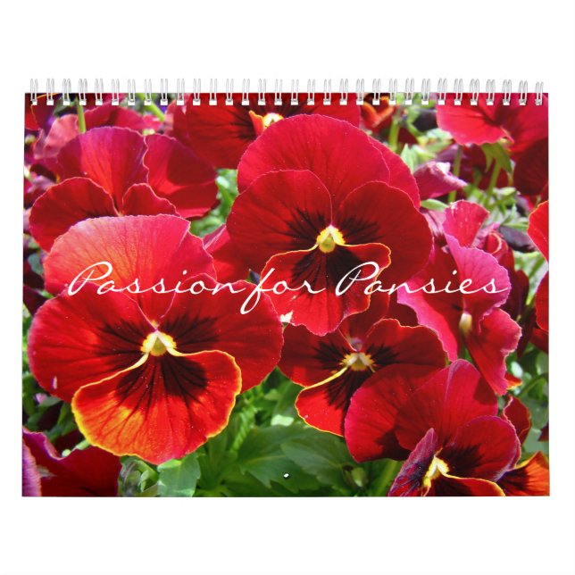 Calendar Passion for Pansies (Cover)