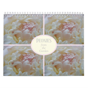 Calendar Peonies from my Garden