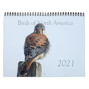 Calendar - Photos of North American Birds