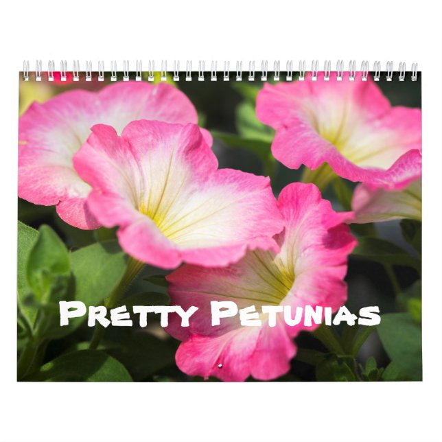 Calendar - Pretty Petunias (Cover)