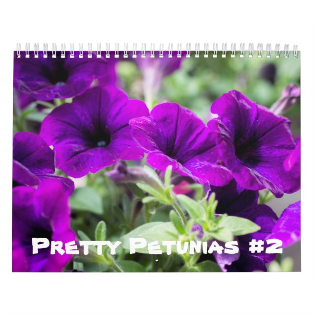 Calendar - Pretty Petunias #2 (Cover)