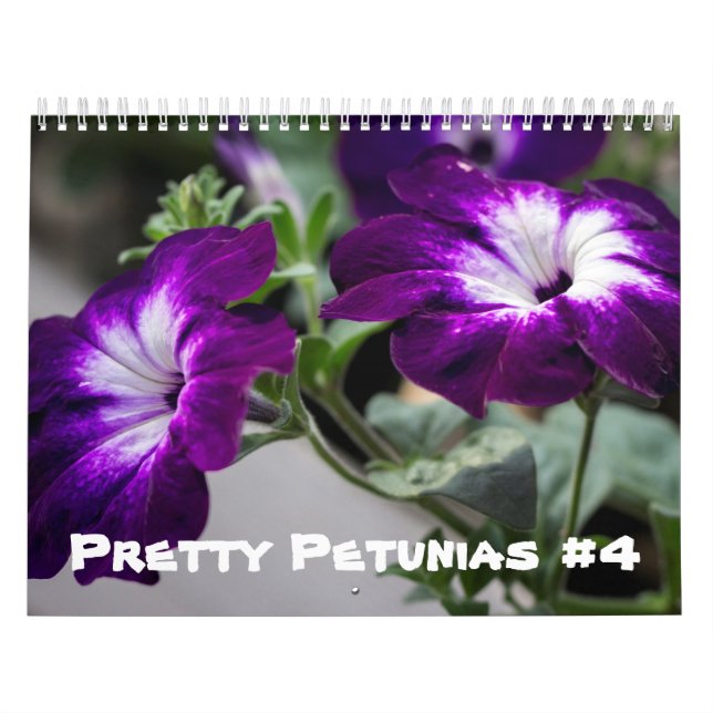 Calendar - Pretty Petunias #4 (Cover)