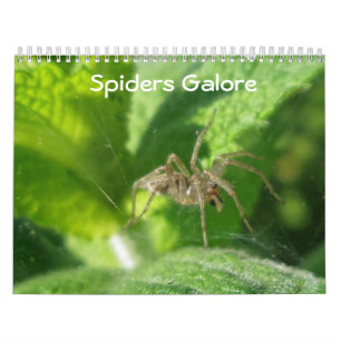 Calendar - Spiders Galore