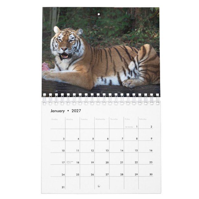 Calendar tiger (Jan 2027)