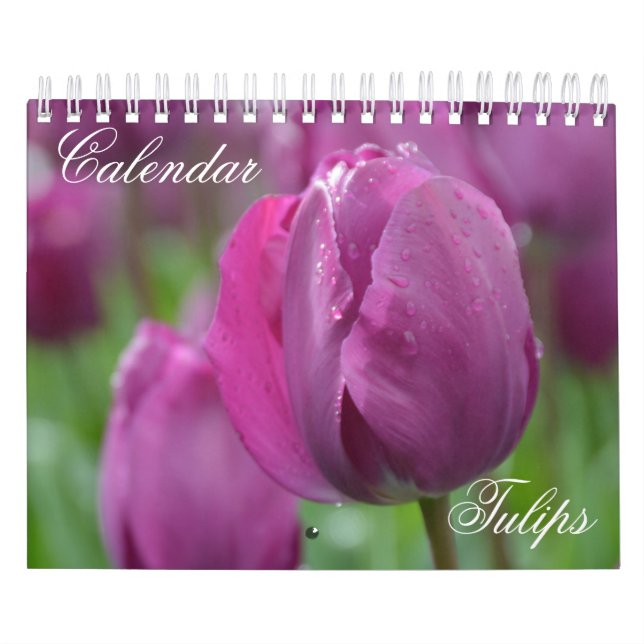 Calendar Tulips (Cover)