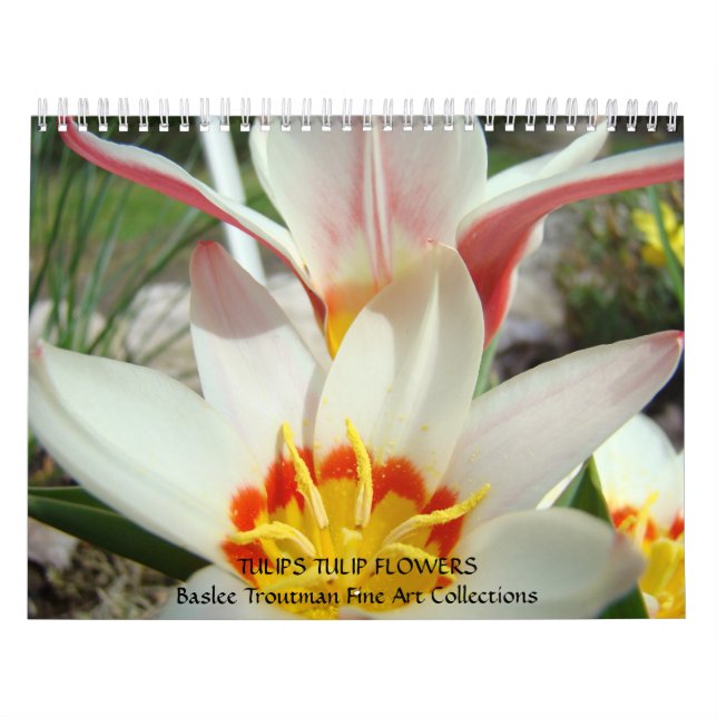 CALENDAR TULIPS Calendars Tulip Flowers (Cover)