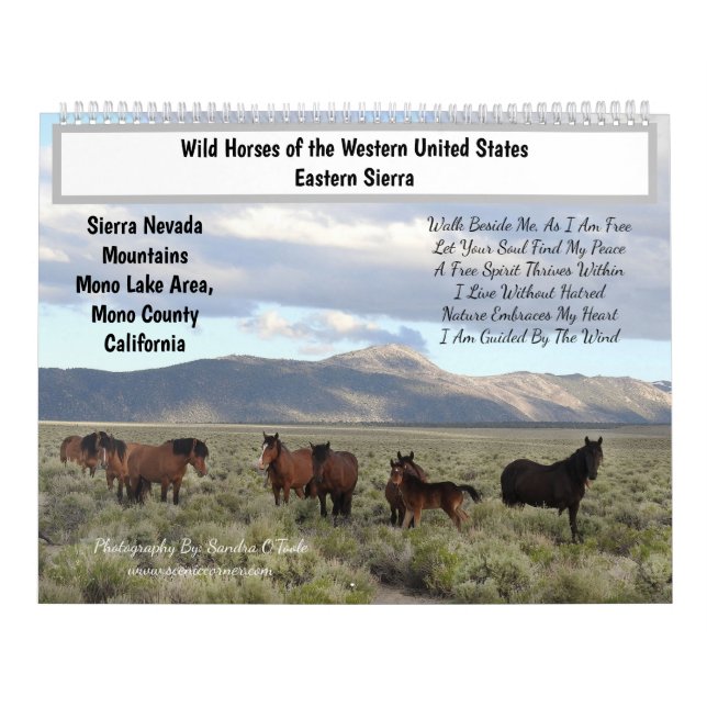 Calendar, Wild Horses, Eastern Sierra, California Calendar (Cover)