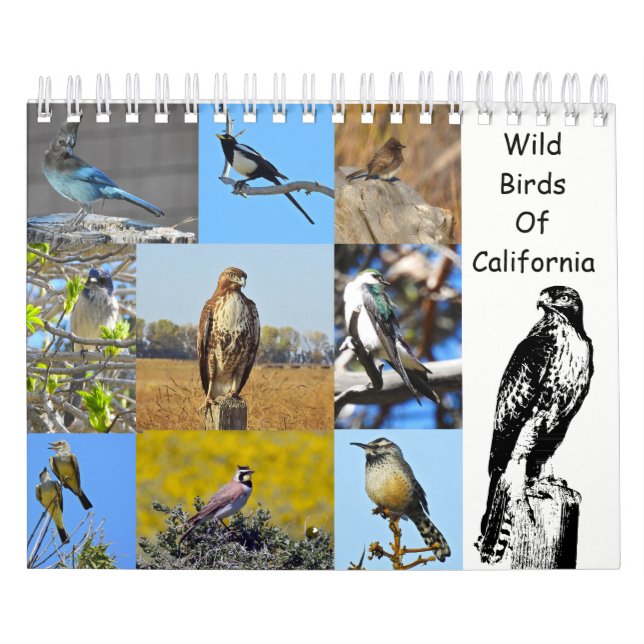 Calendar, wildlife, wild birds of California Calendar (Cover)