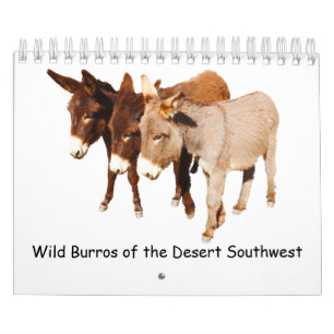 Calendar, wildlife, wild burros, donkeys calendar