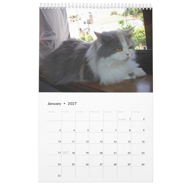 Calendar with cats - Customized (Jan 2027)