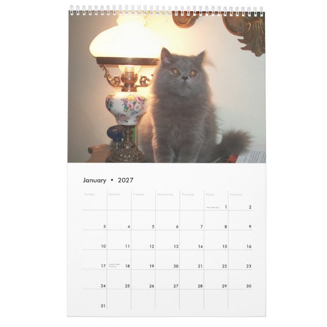 Calendar with cats - Customized (Jan 2027)