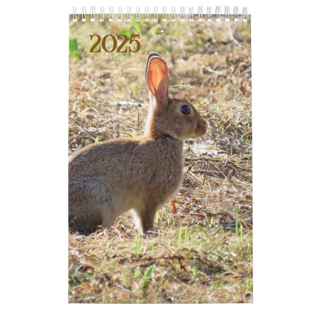 Calendar with images of nature (Cover)