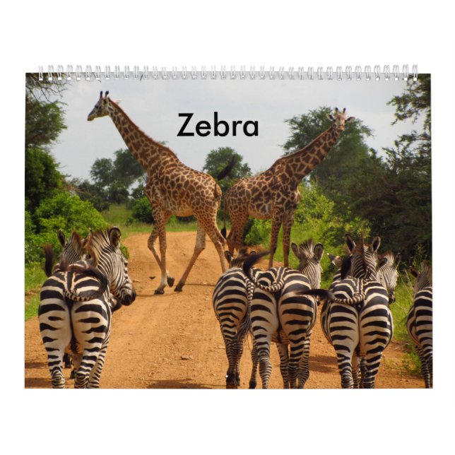 calendar zebra (Cover)