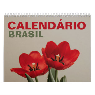 Calendário Brasil com Feriados   Brazil 2026 Calendar