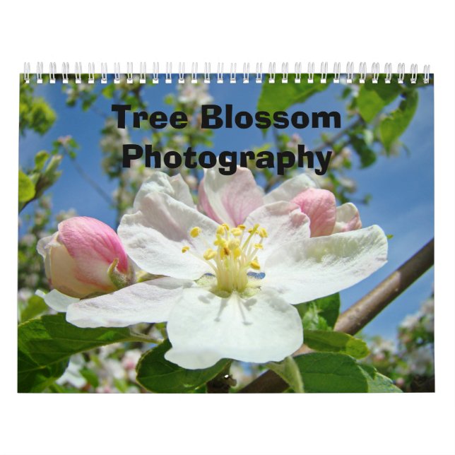Calendars Photography Tree Blossoms Nature (Cover)