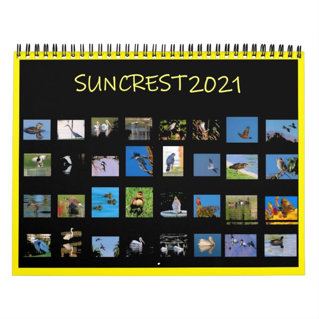 Calendrier (Protection)