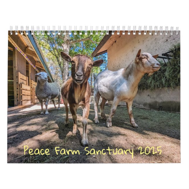 Calendrier (Protection)