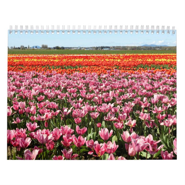 Calendrier (Protection)