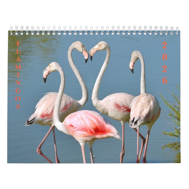 Calendrier (Protection)