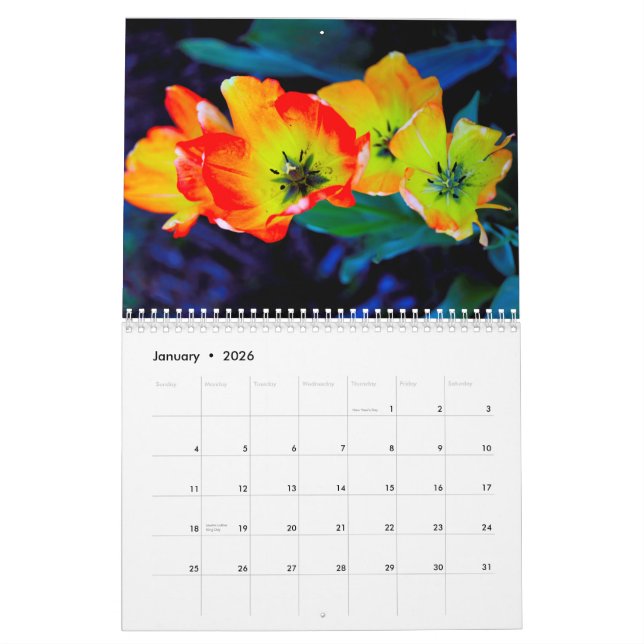 Calendrier (Jan 2026)