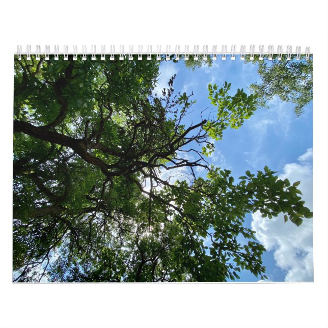 Calendrier (Protection)