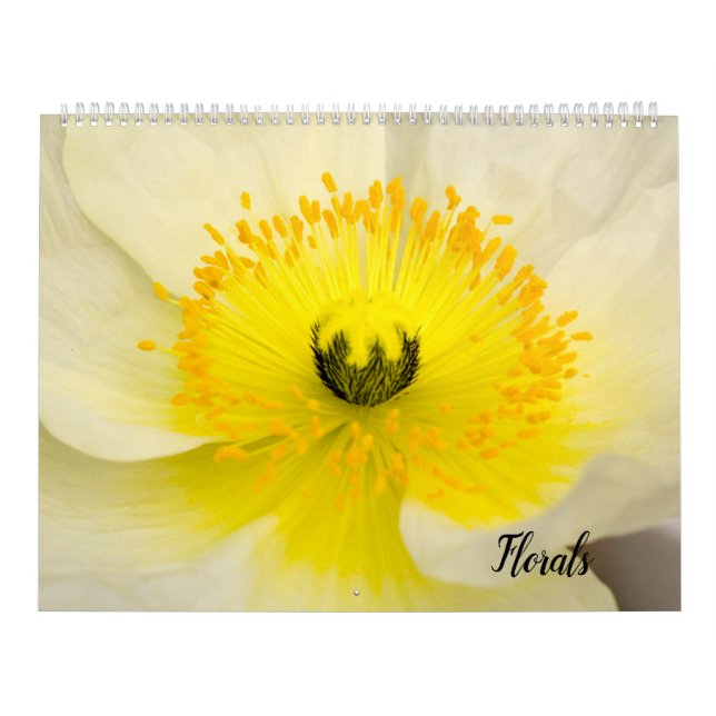 Calendrier (Protection)