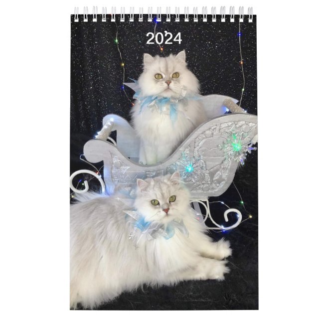 Calendrier (Protection)