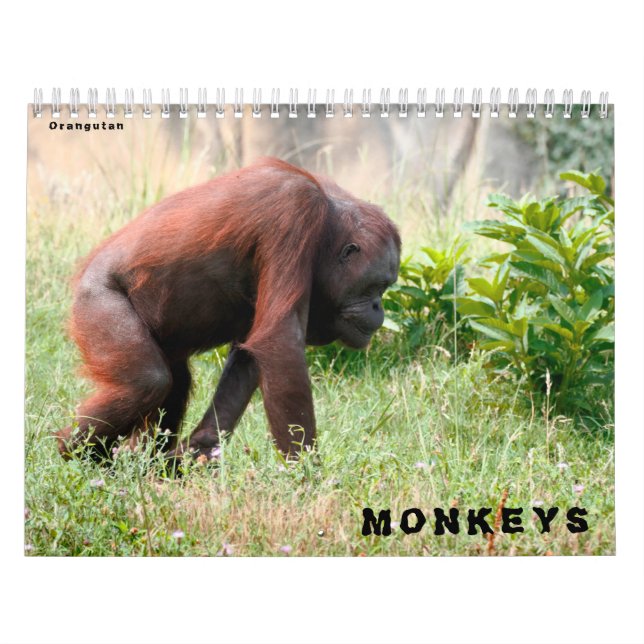 Calendrier (Protection)