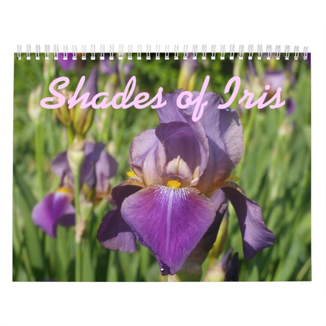 Calendrier 0 2013 nuances d'iris (Protection)