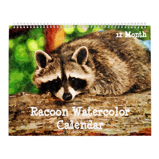 Calendrier 12 Mois Aquarelle Raccoon Peinture Faune Art  (Protection)