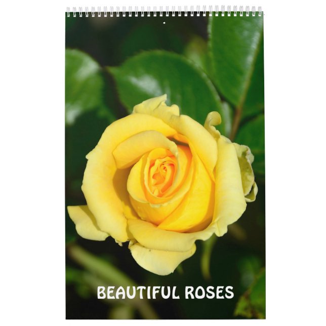 Calendrier 12 mois Beaux Roses (Protection)
