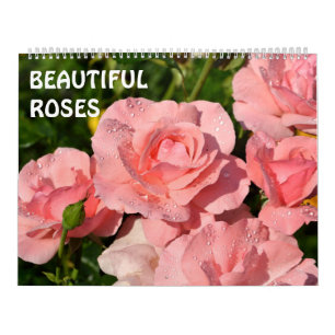Calendrier 12 mois Beaux Roses