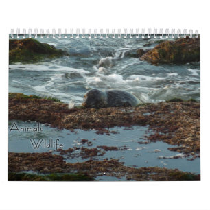 Calendrier 12 Mois d'Animaux et Faune Édition 3