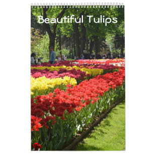 Calendrier 12 mois de belles tulipes