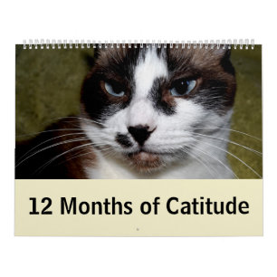Calendrier 12 mois de Catitude