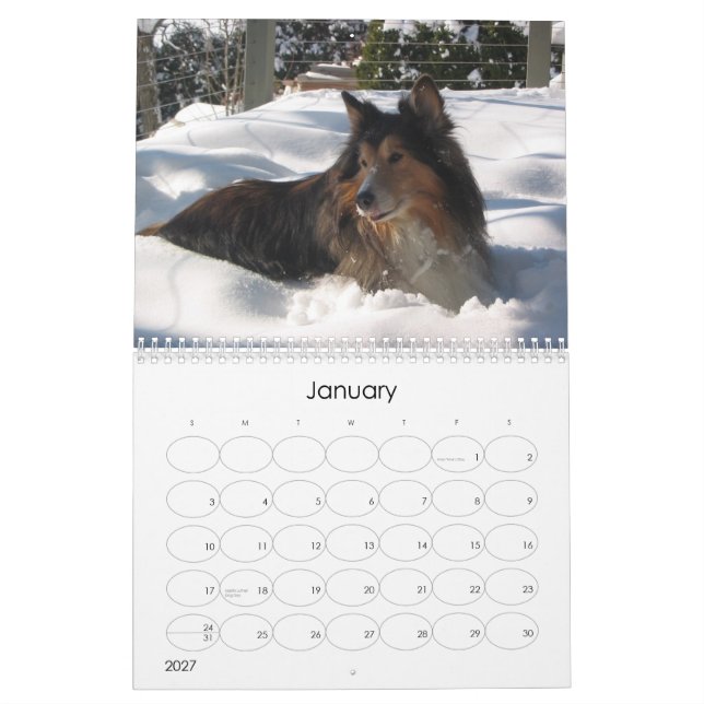 Calendrier 12 mois de Dudley (Jan 2027)