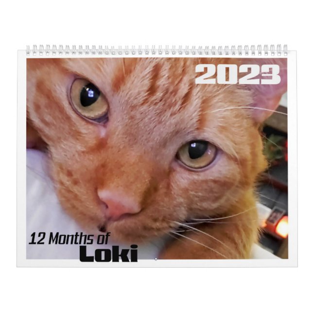 Calendrier 12 mois de Loki et de Tabby Orange Chat (Protection)