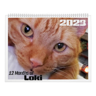 Calendrier 12 mois de Loki et de Tabby Orange Chat