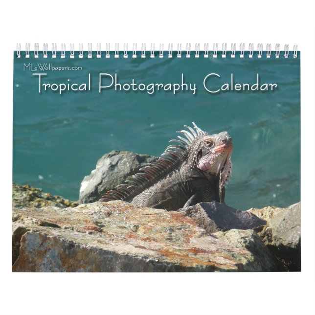 Calendrier 12 Mois de Photographie Tropicale, 2e Édition (Protection)