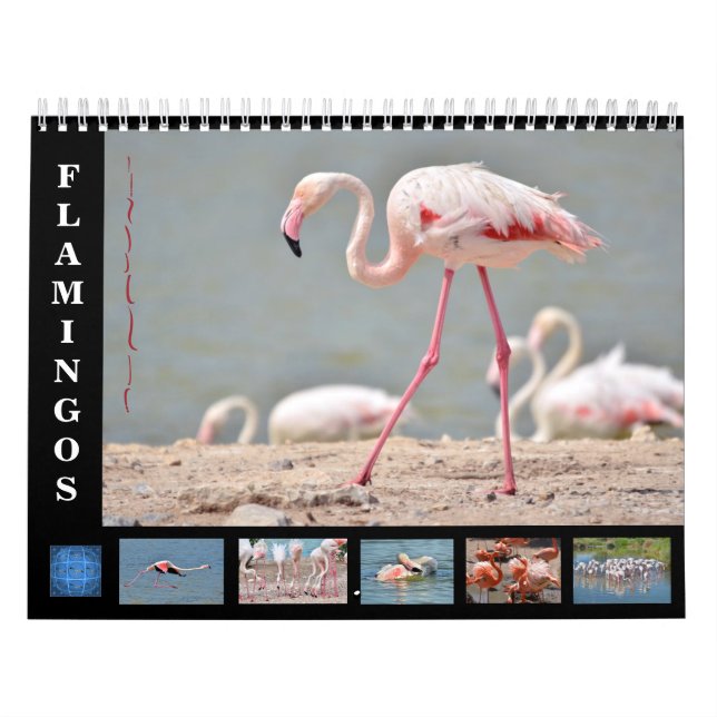 Calendrier 12 mois flamants (Protection)