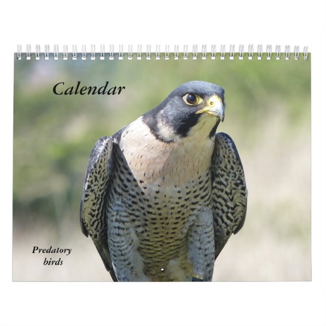 Calendrier 12 mois, Oiseaux prédateurs (Protection)
