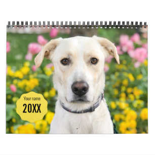 Calendrier 14 Photo Couverture complète - Moderne personnalis