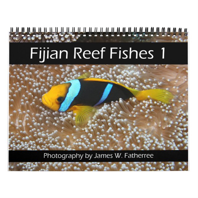 Calendrier 1 des pêches sur les récifs fidjiens (Protection)