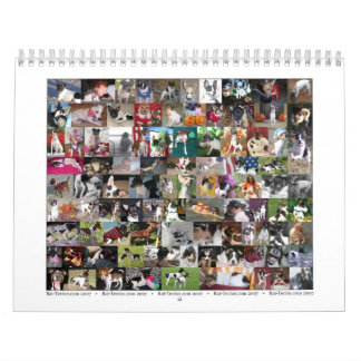 Calendrier 2007 de Rat terrier