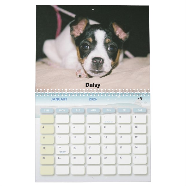 Calendrier 2007 de Rat terrier (Jan 2026)